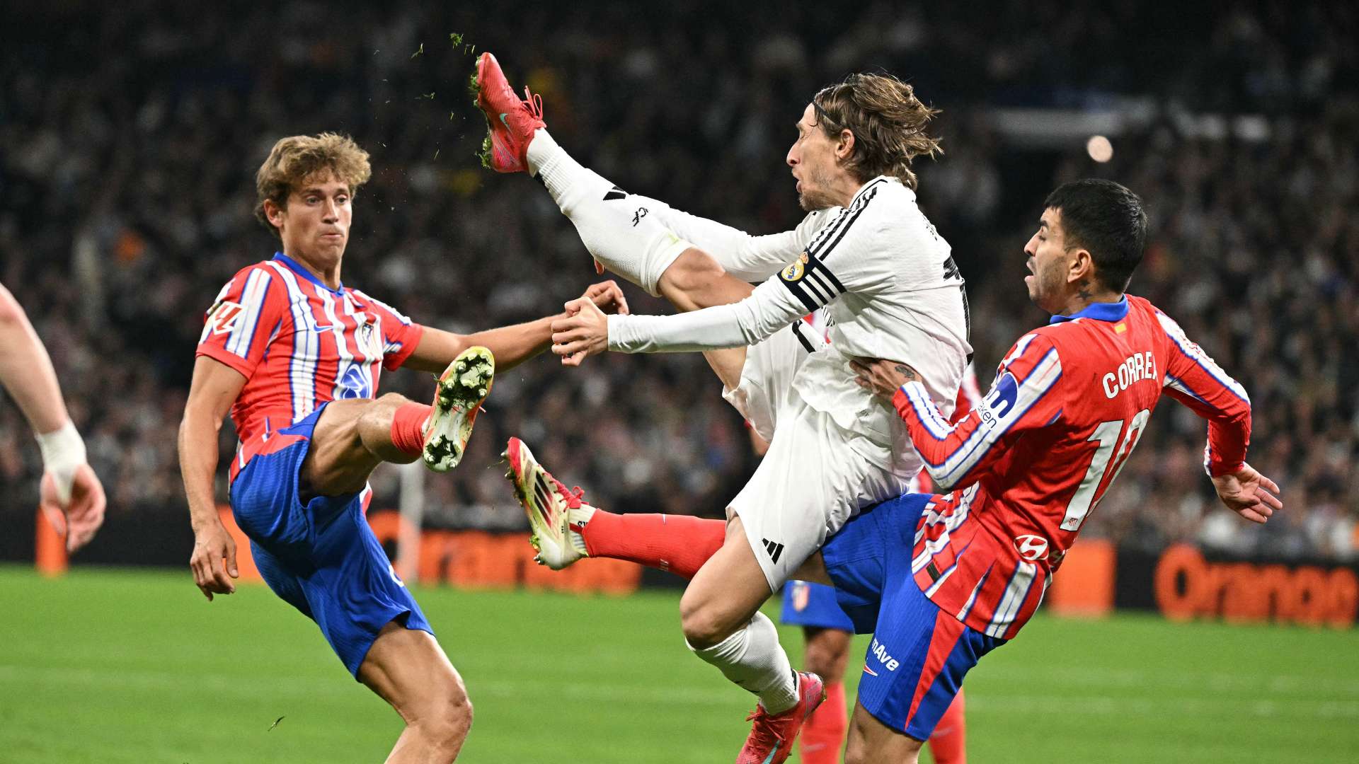 领域有深厚 领域有深厚